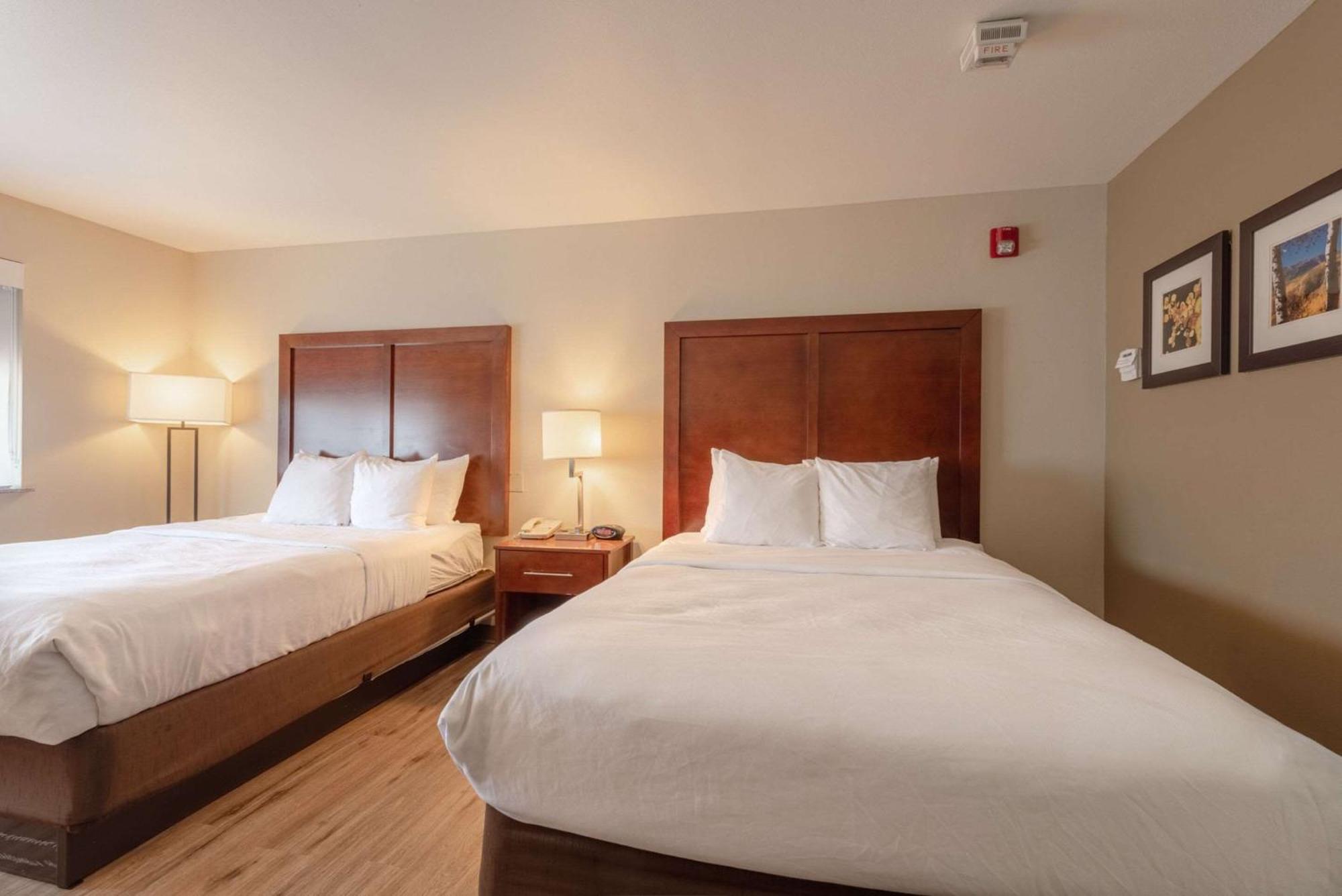 Comfort Inn & Suites Alamosa Dış mekan fotoğraf